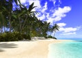 Beautiful Beach with Palm Trees