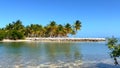 Beautiful beach with palm trees on the Florida Keys Royalty Free Stock Photo