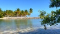 Beautiful beach with palm trees on the Florida Keys Royalty Free Stock Photo