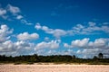 Beautiful beach and palms Royalty Free Stock Photo