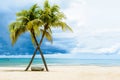 Beautiful beach with palms Royalty Free Stock Photo