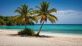 Beautiful beach with palms and turquoise sea in Jamaica island Royalty Free Stock Photo