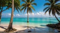 Beautiful beach with palms and turquoise sea in Jamaica island Royalty Free Stock Photo