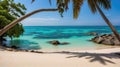 Beautiful beach with palms and turquoise sea in Jamaica island Royalty Free Stock Photo