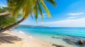 beautiful beach with palms and turquoise sea in Jamaica island with blue sky Royalty Free Stock Photo