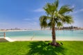 Beautiful beach at the Persian Gulf in Abu Dhabi, UAE Royalty Free Stock Photo