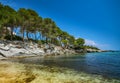 Beautiful beach with pine trees - Font de Sa Cala