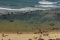 Beautiful beach of Praia do Amor near Pipa, Brazil Royalty Free Stock Photo