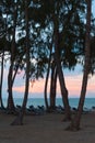 Sun beds on a tropical beach at sunset