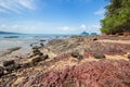 Beautiful beach and rocks on the way to Laem Chamuk Khwai in Khao Thong,Mueang Krabi District,Krabi province,southern Thailand.