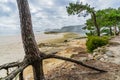 Beautiful beach of Rodas, in the Cies Islands in Galicia, Spain. Royalty Free Stock Photo