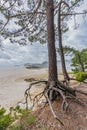 Beautiful beach of Rodas, in the Cies Islands in Galicia, Spain. Royalty Free Stock Photo