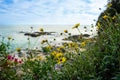 A beautiful beach scene with a large body of water and a rocky shoreline. The beach is covered in yellow flowers and green grass Royalty Free Stock Photo