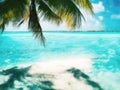 Beautiful beach in the shadow of a palm tree in the sand and the turquoise waters Royalty Free Stock Photo