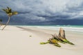 Beautiful beach. Storm sky over the sea Royalty Free Stock Photo