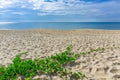 Beautiful beach in Thailand. View of sunlight tropical sea beach with coconuts palms. Tropical sand beach holiday for background Royalty Free Stock Photo