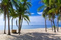 Beautiful beach in Thailand. View of sunlight tropical sea beach with coconuts palms. Tropical sand beach holiday for background Royalty Free Stock Photo