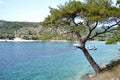 Beautiful beach on thassos island Royalty Free Stock Photo