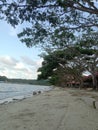 Beautiful Beach and tree kendari indonesia Royalty Free Stock Photo