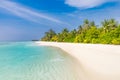 Summer beach landscape. Tropical island view, palm trees and loungers with amazing blue sea. Perfect beach scenery, white sand Royalty Free Stock Photo