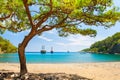 Beautiful beach with turquoise water and pines Royalty Free Stock Photo