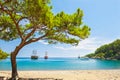 Beautiful beach with turquoise water and pines. Royalty Free Stock Photo