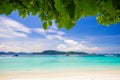 Beautiful Beach under the tree Royalty Free Stock Photo