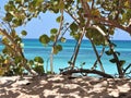 Beach View From Barahona Royalty Free Stock Photo