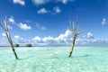 Luxury beach resort with over water hammock and water villas. Perfect tropical vacation destination. Summer beach Royalty Free Stock Photo