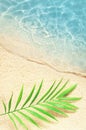 Beautiful beach with white sand palm leaf and clear blue sea. Top view Royalty Free Stock Photo