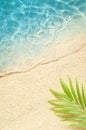 Beautiful beach with white sand palm leaf and clear blue sea. Top view Royalty Free Stock Photo