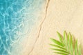 Beautiful beach with white sand palm leaf and clear blue sea. Top view Royalty Free Stock Photo