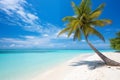 Beautiful beach with white sand, turquoise ocean, blue sky with clouds and palm tree over the water on a Sunny day. Maldives Royalty Free Stock Photo