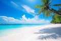 Beautiful beach with white sand, turquoise ocean, blue sky with clouds and palm tree over the water on a Sunny day. Maldives Royalty Free Stock Photo