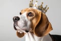 Beautiful Beagle Dog In Gold Crown On White Background. Generative AI