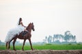 Beautiful beauty bride in fashion white bridal wedding costume riding on strong muscular horse on rural countryside background Royalty Free Stock Photo
