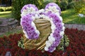 Beautiful beds of chrysanthemums flowers decorated in the form of spider