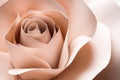 Beautiful beige flower made of paper as background, closeup