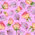 Beautiful beige and red roses and purple leaves on pink background. Seamless floral pattern. Watercolor painting.