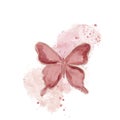 Beautiful beige watercolor abstract translucent butterfly on the white background. Royalty Free Stock Photo