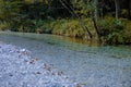 Beautiful Belca river, small clean water stream in the narrow valley of belca river, Slovenia. Grass on the riverbank, slow