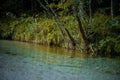 Beautiful Belca river, small clean water stream in the narrow valley of belca river, Slovenia. Grass on the riverbank, slow