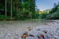 Beautiful Belca river, small clean water stream in the narrow valley of belca river, Slovenia. Grass on the riverbank, slow