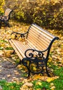 Beautiful bench in autumn park