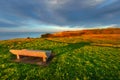 Beautiful bench in a park near the sea