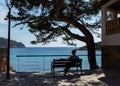 Beautiful bench under a big tree with view to the coastline of sant elm, mallorca, spain Royalty Free Stock Photo