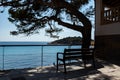 Beautiful bench under a big tree with view to the coastline of sant elm, mallorca, spain Royalty Free Stock Photo