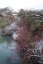 Wonderful winter snowy landscape with unique vegetation by the Wuhle River in February. Berlin, Germany Royalty Free Stock Photo