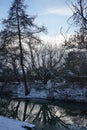 Wonderful winter snowy landscape with unique vegetation by the Wuhle River in February. Berlin, Germany Royalty Free Stock Photo