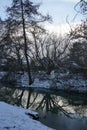 Wonderful winter snowy landscape with unique vegetation by the Wuhle River in February. Berlin, Germany Royalty Free Stock Photo